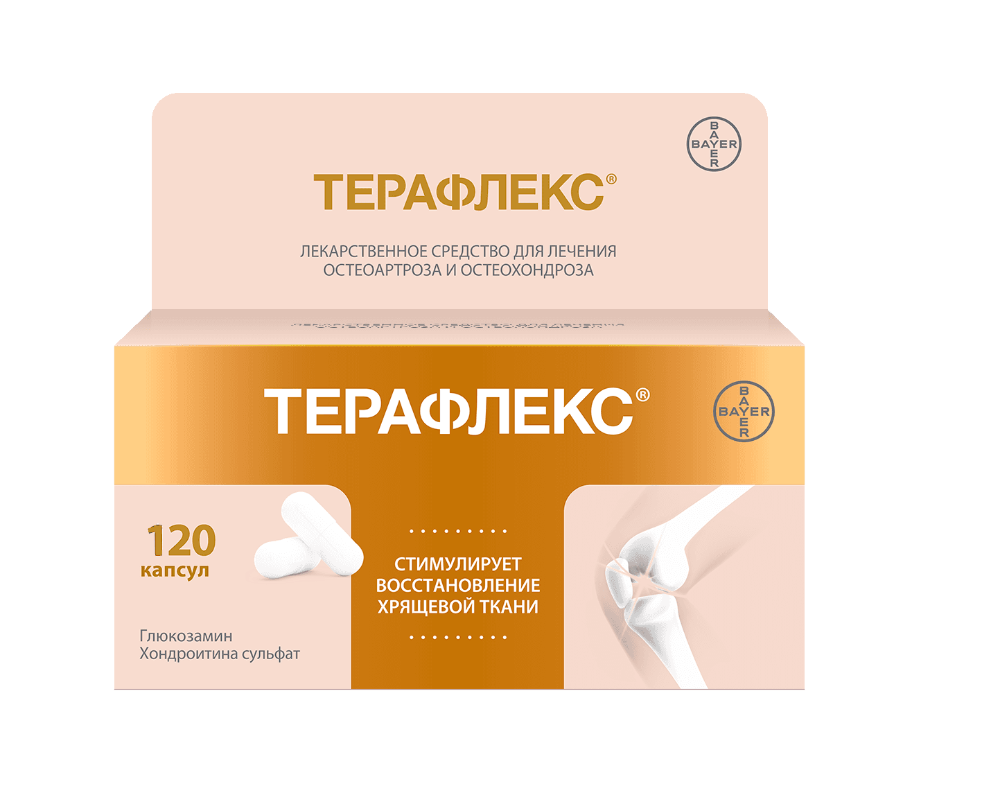 TERAFLEKS kapsulalar  N120